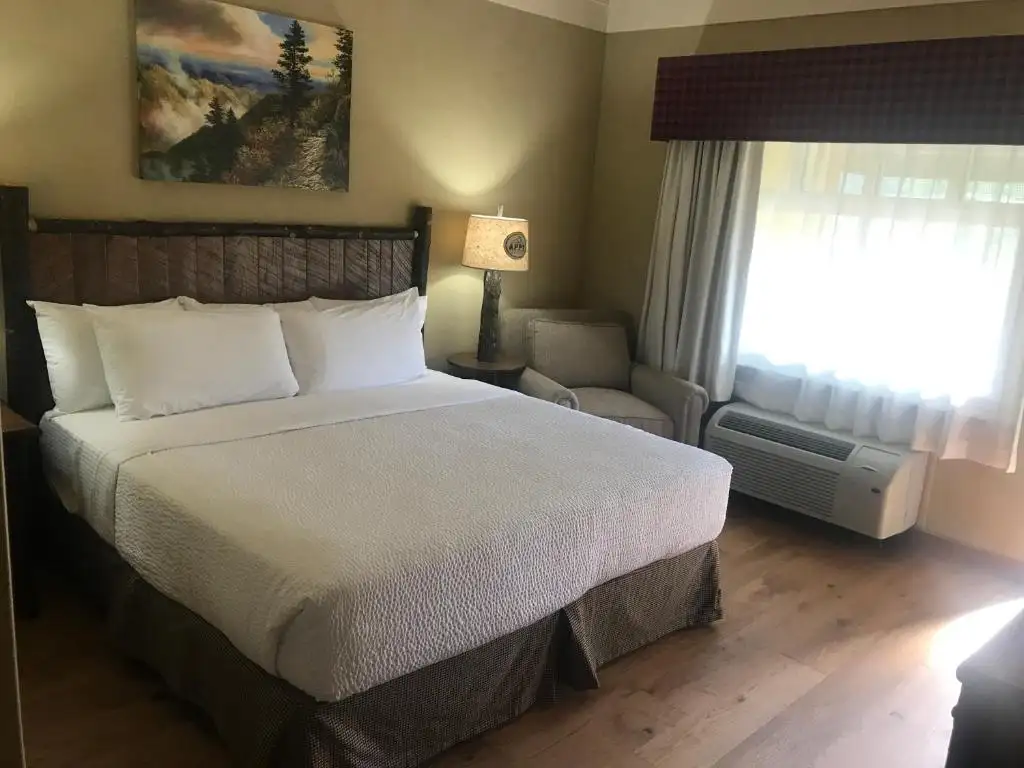 bedr-appy lodge