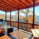 newly built cabin 1